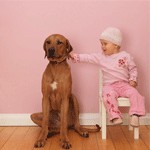 ����������ô��