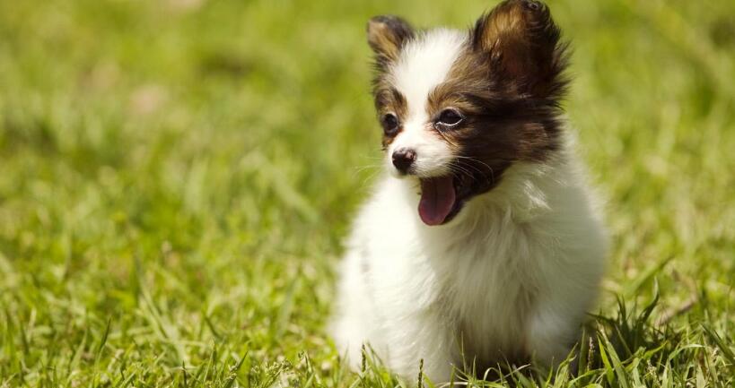 ������ʳ���Թ�����ô�죿����΢��Ԫ����ô