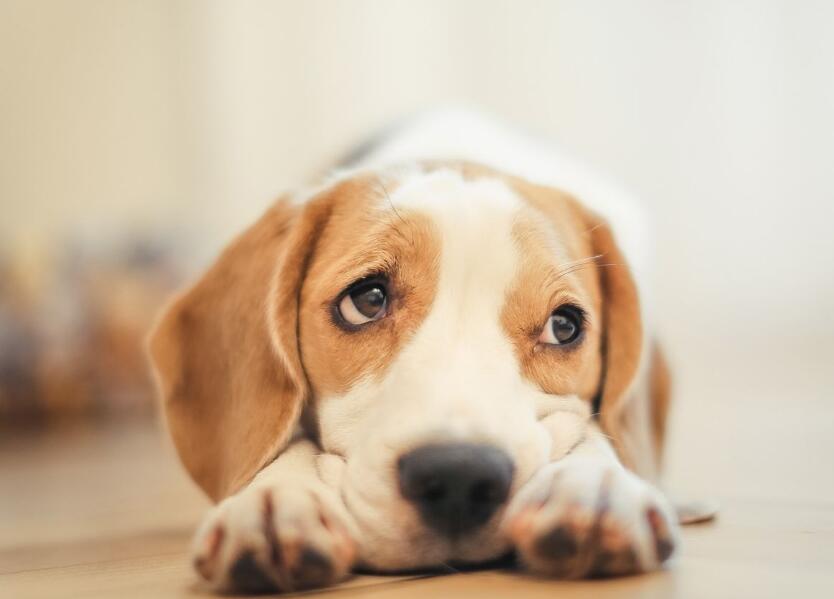 ��������ػ�֮�ڶ����