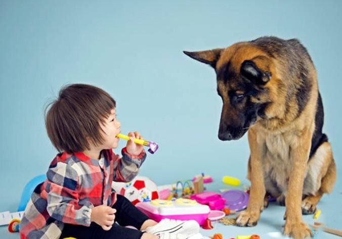 �ȵǾٰ조�ذ��������ж���������ȥ���С�