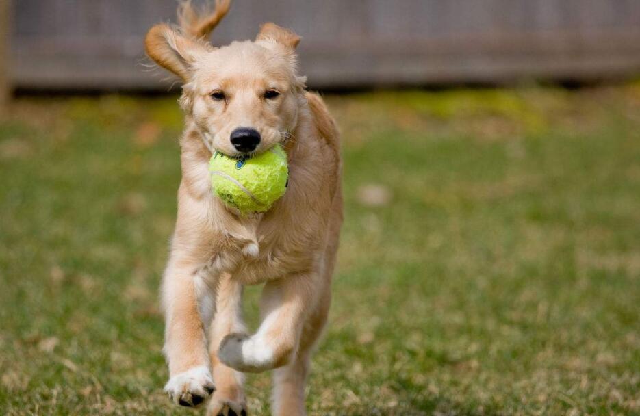 ���ĳ�θ���ǳ����⣬���������Ե���������