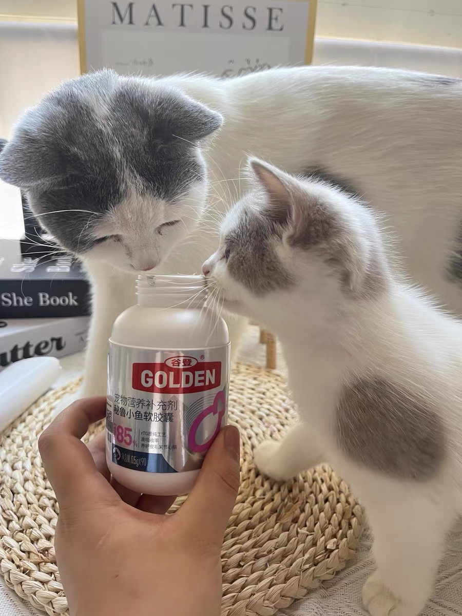 �ȵ�ȫ������  ��ʳƷ����׼������Ӫ