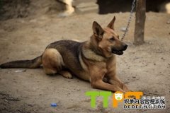 �ǹ����Զ�����ô�죿���Ӧ�ԣ�