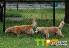 ��ëȮû������ô�죿ʲôԭ��