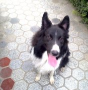 �������ǵ�ë��ô��