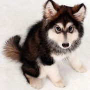 ����ë����ô��