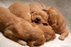 ��ë��ʺ��ô�죿