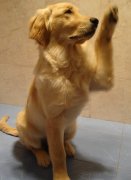 ��ë��ë��ô��