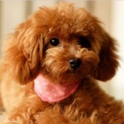 ̩����ë��ʲô��