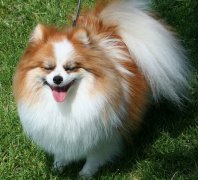 ������ë���ʲô