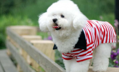 ���ܳ�θ������ô��