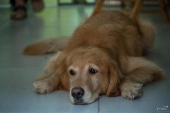 ��ëС����ʲô�̷ۺ�