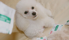 ����̫����ô��