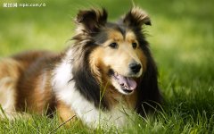 ����ȱ����ô�죿