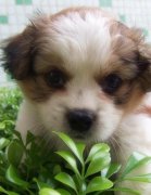 С���������̷���ϡ��ô��