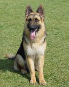 ����Ż����ô��