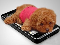 ΪʲôҪ��̩�Ϻ����̷ۣ�