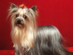 �ն��̵�Լ������Ȯ��ô����