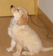 �����ų�ƨ��ô��