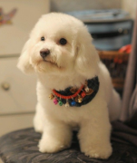 ������ë����ʲôԭ��