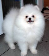 ����ë��ϡ����ô��