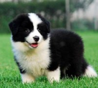 ����Ϊʲô��ʺ��