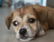 ������θ����������ô��