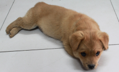 ����վ��������ô��