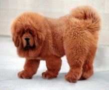 ������˳�θ����ô���ƣ�