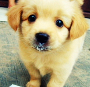 �����ҳԶ�����ô��