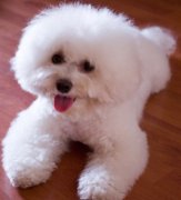 ����Ƥм�ܶ���ô��