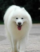 ����θ������ô�죿��ͼ��