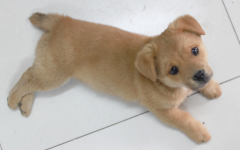 ����ȫ��������ô��