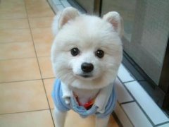 ���������Է���ôι������ͼ��