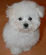 ������������ʲôԭ��