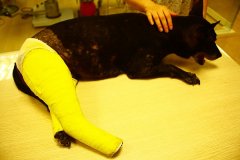 ����������ͻ����ô��ã�ͼ��