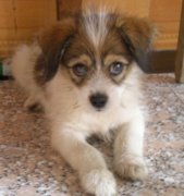 ������ô�������