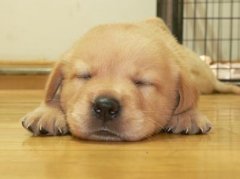 ����������ô�������������ͼ��