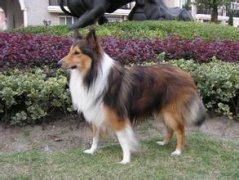 ����ȱ��ά������ô�죿��ͼ��