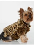 ѩ��������ʲô���ƣ�