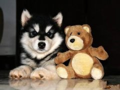 ��������������ԣ�ͼ��