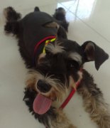 ����Ż����ô����