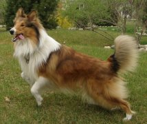 ������ϡ���Է�