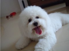 ��������û��������ô�죿��ͼ��