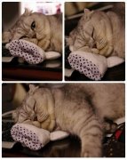 ����������ͻ����ô���