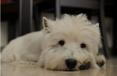 ��������Ż����ô�죿