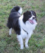 ����Ż�³�ʲôҩ���������˳�ʲôҩ��