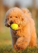 �������Լ��ı����ô�죿��ô���£�