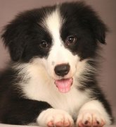 ������ϡŻ����ô���£�