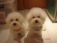 ��������ë���������ؾ�����ͼ��